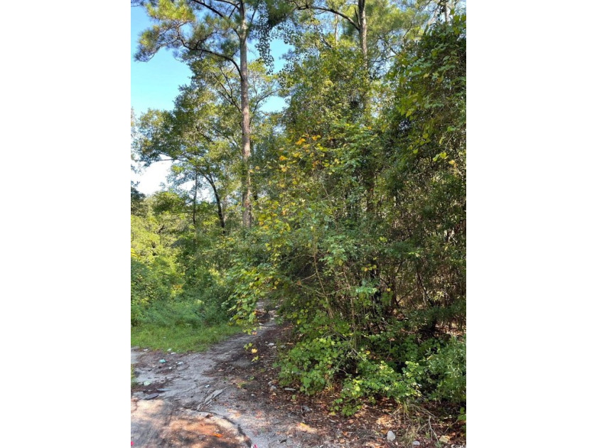 Endless possibilities await with this spacious piece of land - Beach Lot for sale in Little River, South Carolina on Beachhouse.com