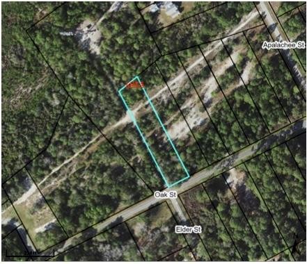 This 1+ acre lot is a short walk from the beautiful bay at St - Beach Lot for sale in Lanark Village, Florida on Beachhouse.com