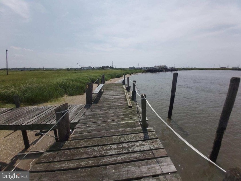 LAND on the Delaware Bay!!!   Own your own little piece of - Beach Lot for sale in Newport, New Jersey on Beachhouse.com