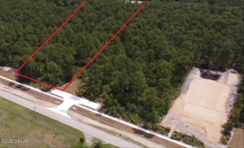 A rare opportunity to own a wooded estate lot offering privacy - Beach Lot for sale in Ormond Beach, Florida on Beachhouse.com
