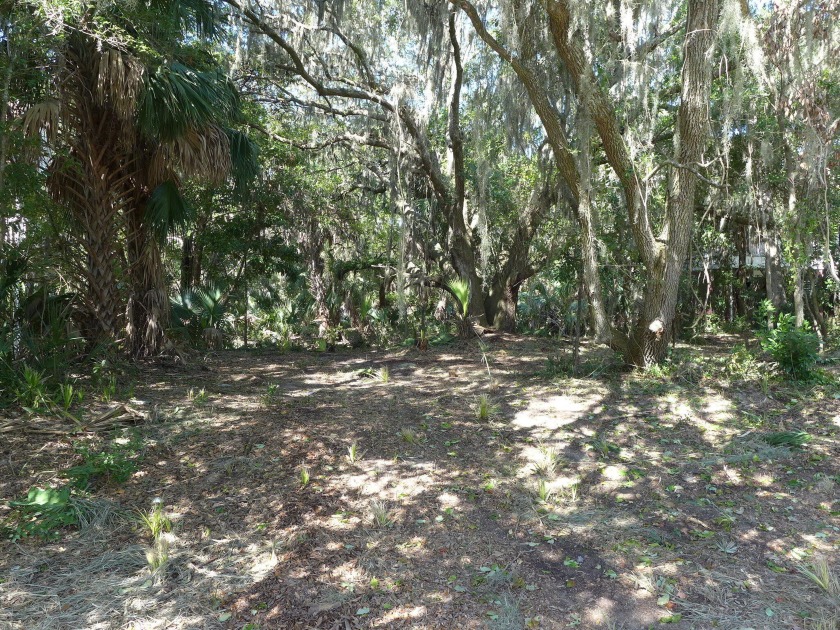 Very desirable 3rd row lot on Myrtle Street just around the - Beach Lot for sale in Edisto Island, South Carolina on Beachhouse.com