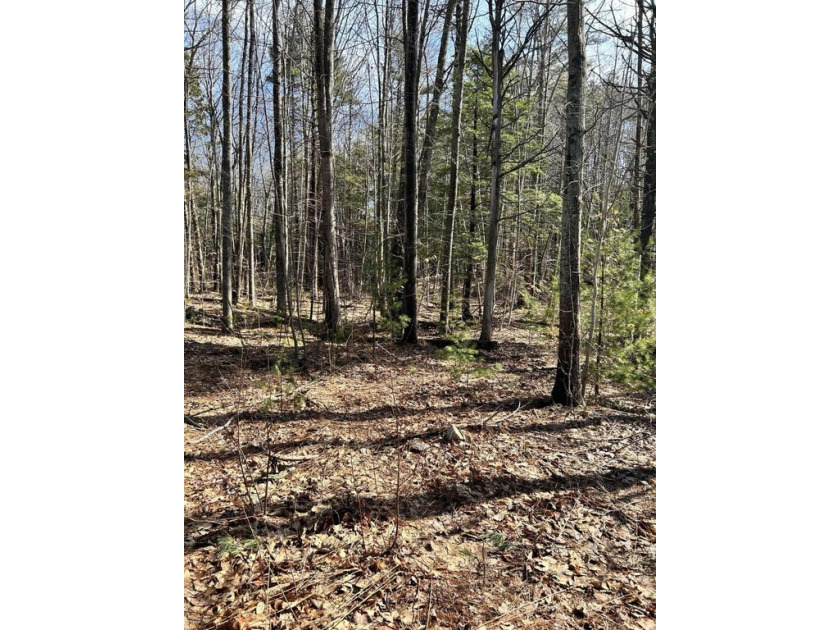Build here and live approximately 1-1.25 (GPS) MILES TO BOTH - Beach Lot for sale in York, Maine on Beachhouse.com