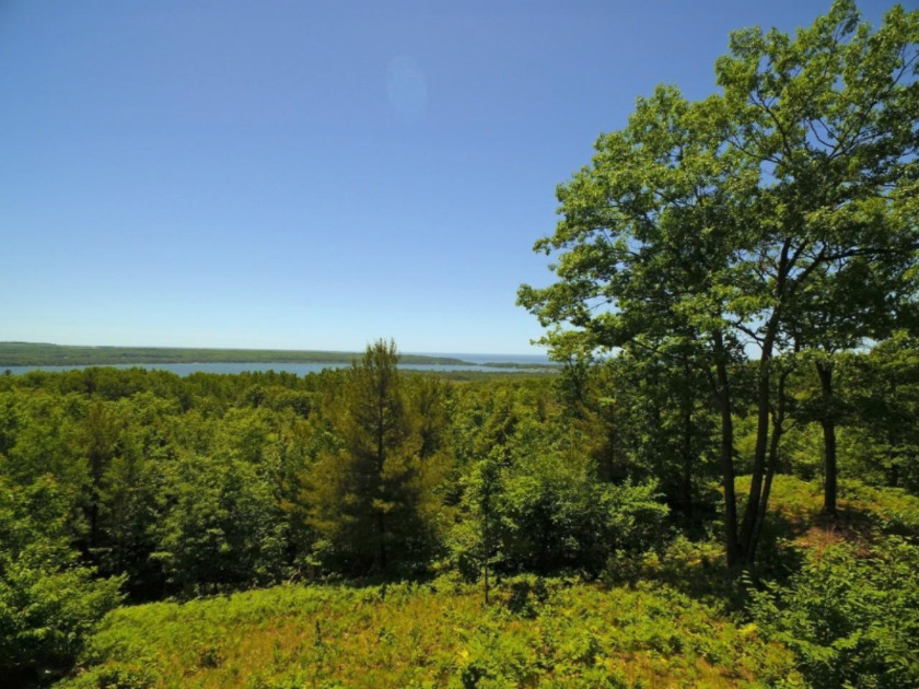 Welcome to *The View That Will Take Your Breathe Away.* Picture - Beach Acreage for sale in Onekama, Michigan on Beachhouse.com