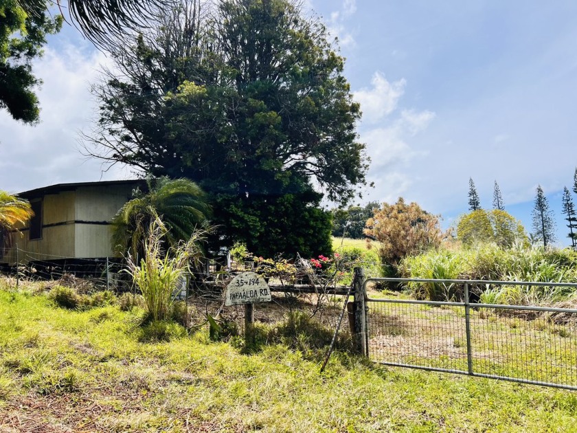 Welcome to this slice of coastal country paradise! The 13.71 - Beach Acreage for sale in Laupahoehoe, Hawaii on Beachhouse.com