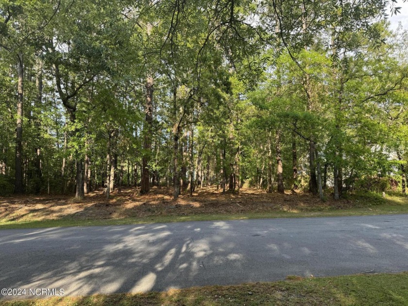Situated within the esteemed Fairfield Harbour HOA community - Beach Lot for sale in New Bern, North Carolina on Beachhouse.com