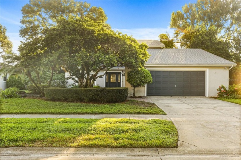 This MOTIVATED SELLER WILL MAKE CONCESSIONS FOR CARPET AND MINOR - Beach Home for sale in Tampa, Florida on Beachhouse.com