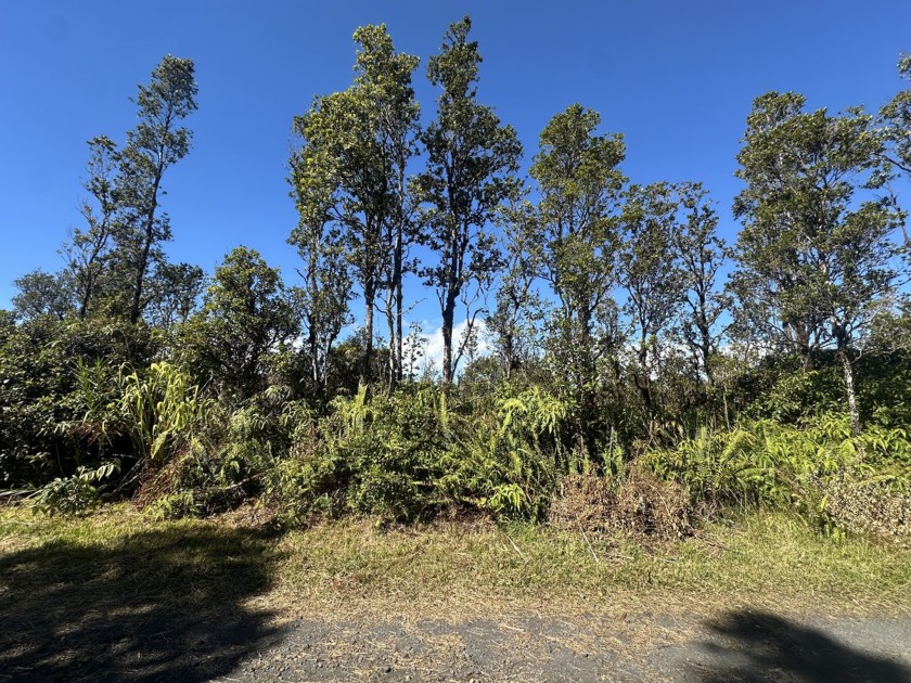 Located in the cooled elevated countryside of Mountain View - Beach Lot for sale in Mountain View, Hawaii on Beachhouse.com