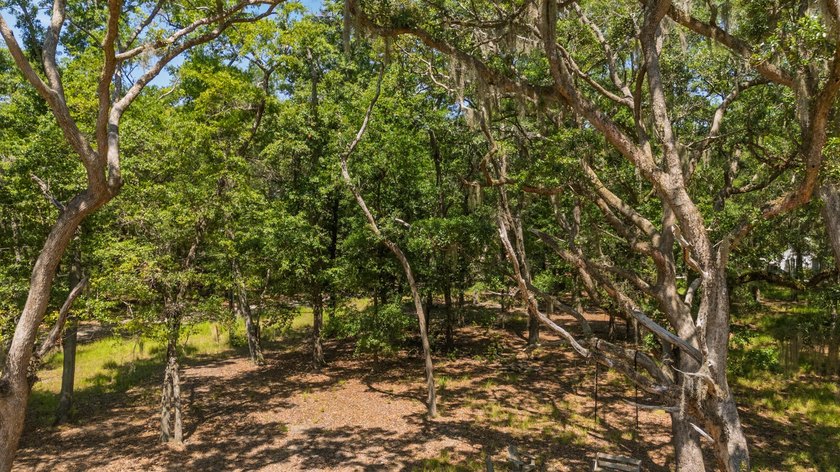 This stunning, cleared property offers the ideal canvas for your - Beach Lot for sale in Edisto Island, South Carolina on Beachhouse.com