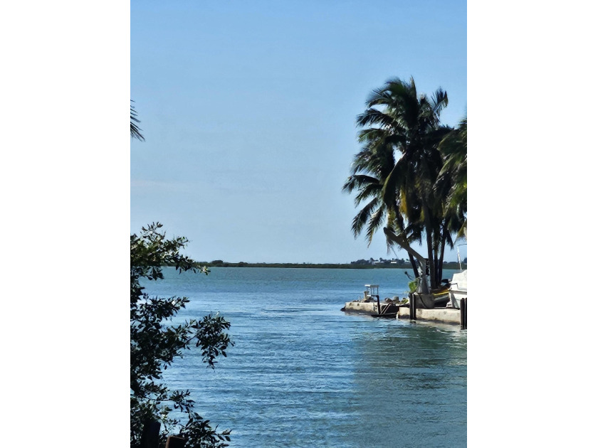 RARE OPPORTUNITY HERE! This home is perfect for a DIY or Builder - Beach Home for sale in Sugarloaf Key, Florida on Beachhouse.com