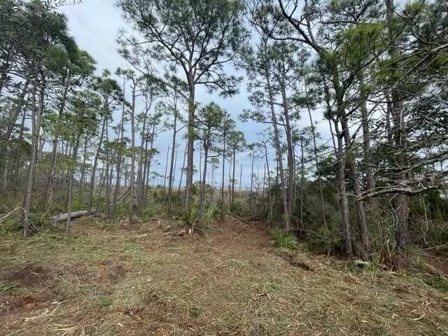 Bayfront platted lot with wetland deliniation on recorded plat - Beach Lot for sale in Port St Joe, Florida on Beachhouse.com