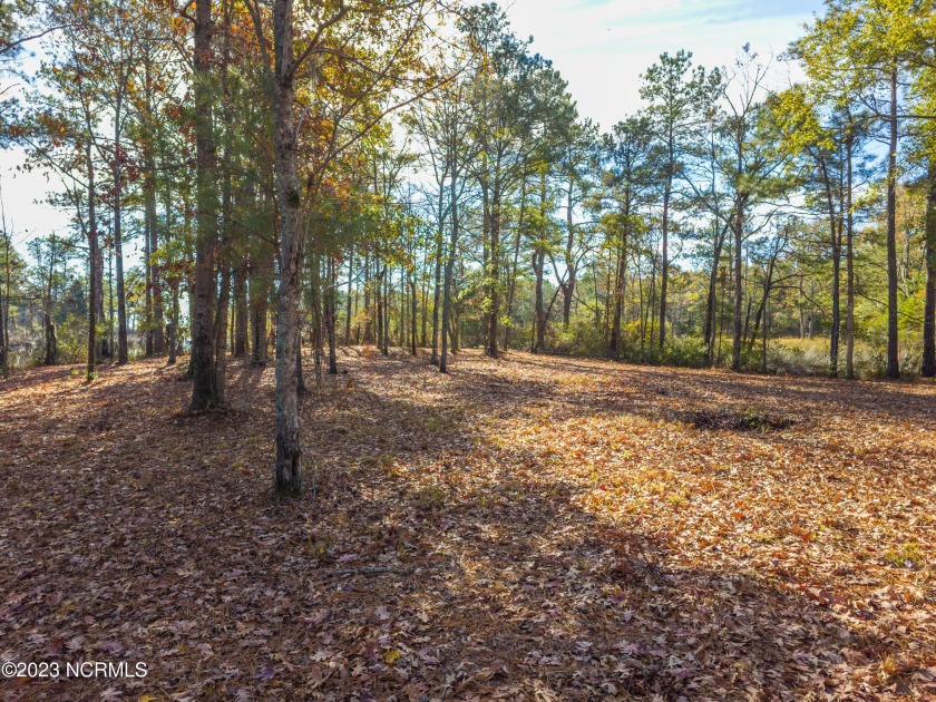 With over 280' of waterfront shoreline, this beautiful lot - Beach Acreage for sale in Bath, North Carolina on Beachhouse.com