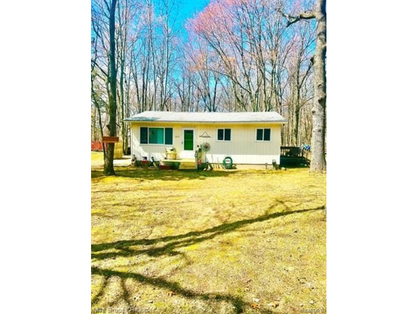 LAKE ACCESS HOME. Move in ready  2 bedroom -1 bath ranch. Many - Beach Home for sale in Caseville, Michigan on Beachhouse.com