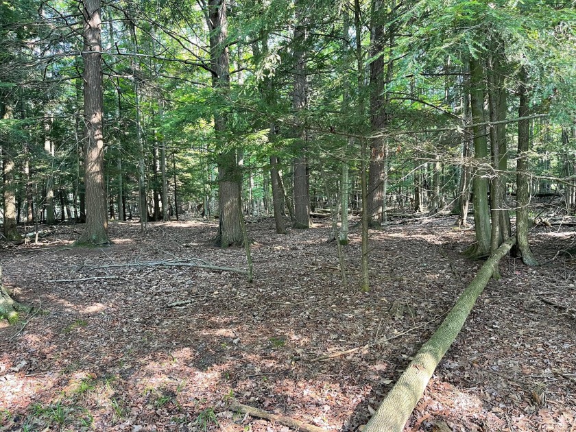 Beautiful Portage Lake waterfront property located near the - Beach Acreage for sale in Onekama, Michigan on Beachhouse.com