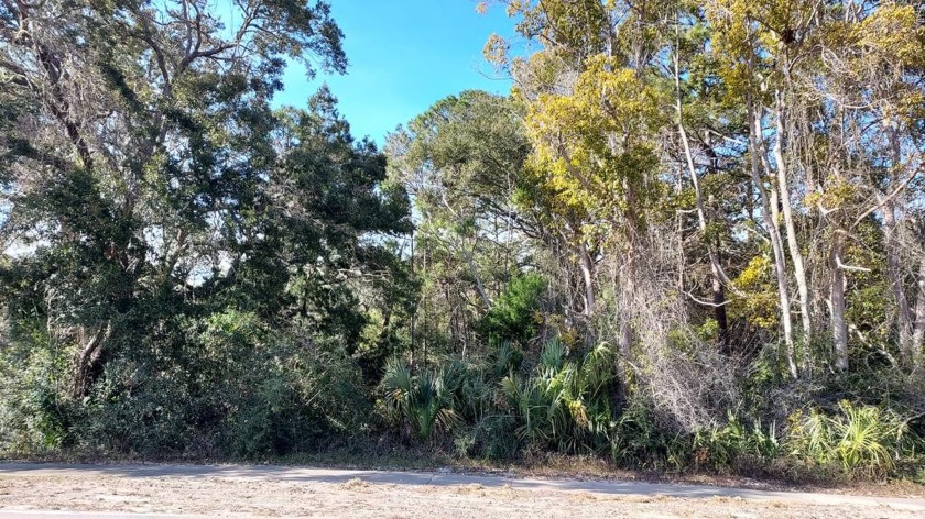 There are two Wooded lots in the City of Carrabelle. This - Beach Lot for sale in Carabelle, Florida on Beachhouse.com