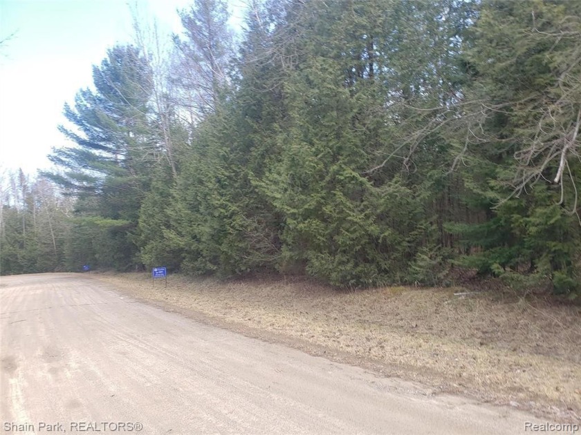 Perfect Lot! Ready for you to build your dream home, electricity - Beach Lot for sale in Oscoda, Michigan on Beachhouse.com