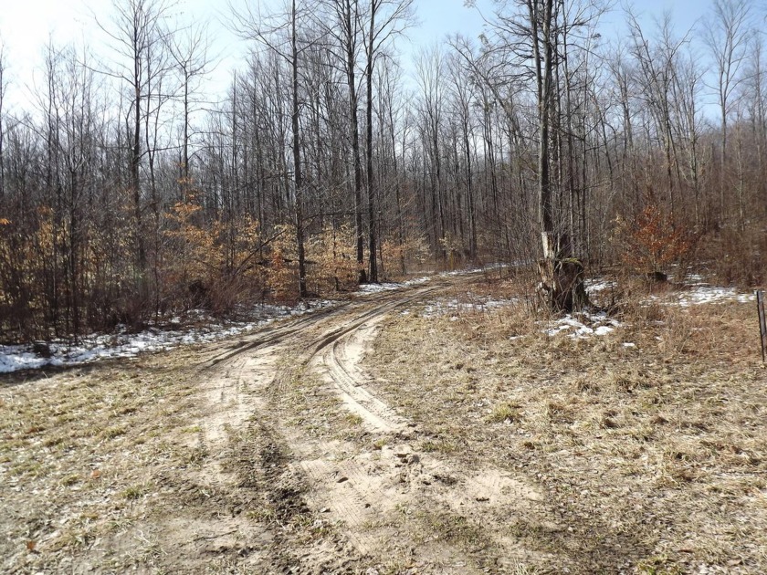 Antrim County Recreation Land located near Torch Lake.  40 Acres - Beach Acreage for sale in Alden, Michigan on Beachhouse.com