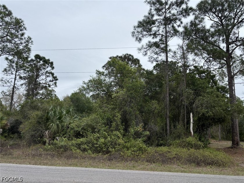This vacant land property at 1616 Eighth Ave in Lehigh Acres, FL - Beach Lot for sale in Lehigh Acres, Florida on Beachhouse.com