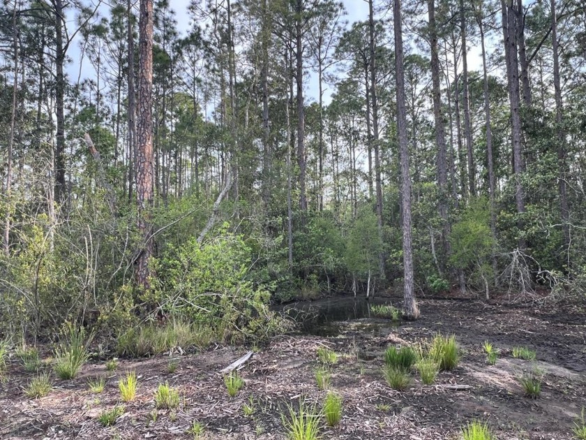 One acre parcel located in Carrabelle city limits, just minutes - Beach Lot for sale in Carabelle, Florida on Beachhouse.com