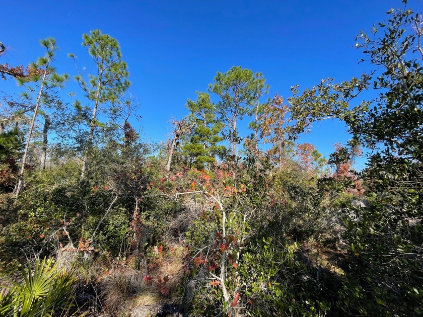 Discover this beautiful 1.00-acre parcel just minutes from - Beach Lot for sale in Perry, Florida on Beachhouse.com