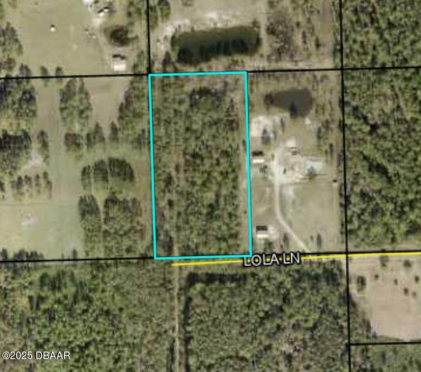 5 Acres in Ormond Beach - Endless Possibilities for the Rural - Beach Acreage for sale in Ormond Beach, Florida on Beachhouse.com