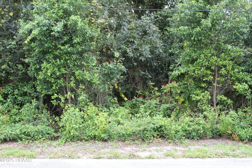 This almost 4 acre property with access on Fred Gamble Way and - Beach Acreage for sale in Ormond Beach, Florida on Beachhouse.com