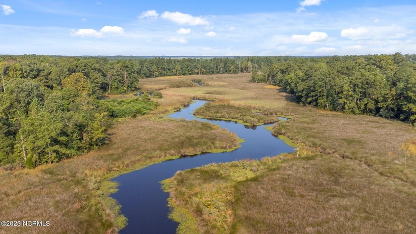 2.8+/- acres on the Bay River listed below tax value! Total of - Beach Acreage for sale in Bayboro, North Carolina on Beachhouse.com