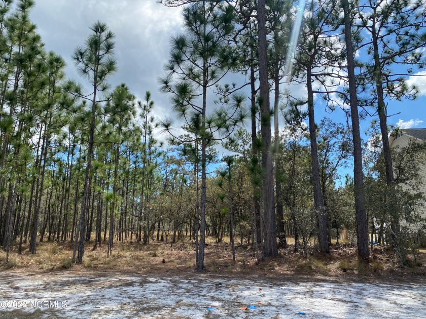 A wonderful buildable homesite in the peaceful town of Boiling - Beach Lot for sale in Southport, North Carolina on Beachhouse.com