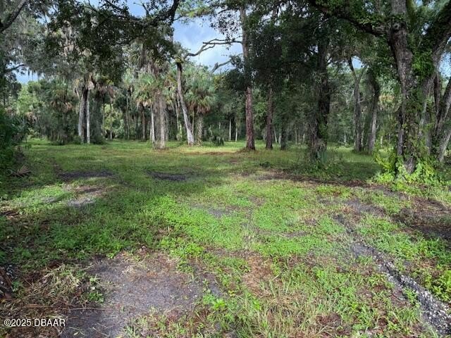 2.81 acres of light industrial property in New Smyrna Beach - Beach Acreage for sale in New Smyrna Beach, Florida on Beachhouse.com