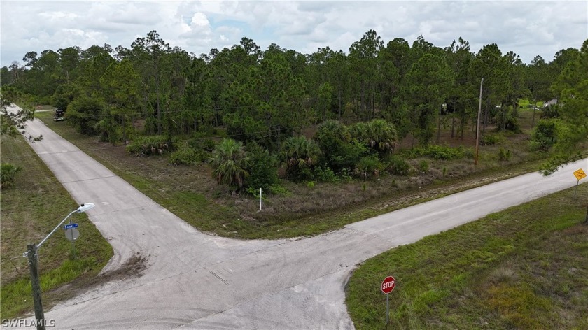 Desirable mostly cleared corner lot (10,890 SQ FT) located - Beach Lot for sale in Lehigh Acres, Florida on Beachhouse.com