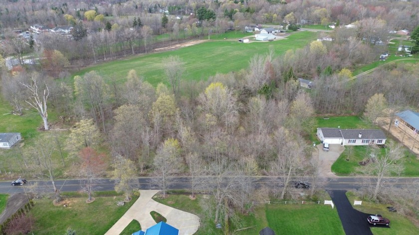 LIST PRICE IS OPENING BID FOR Online Auction JUNE 3, 2025 - Beach Lot for sale in South Haven, Michigan on Beachhouse.com