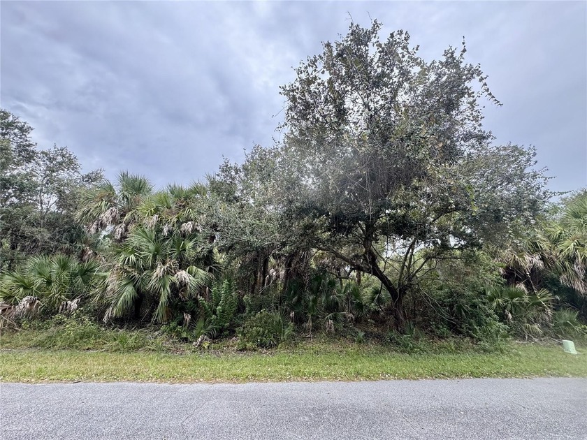 Discover this beautiful North Port lot nestled amid Florida's - Beach Lot for sale in North Port, Florida on Beachhouse.com
