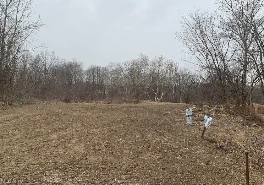 Come check out this prime 1.62 acres of residential land in - Beach Lot for sale in Lorain, Ohio on Beachhouse.com