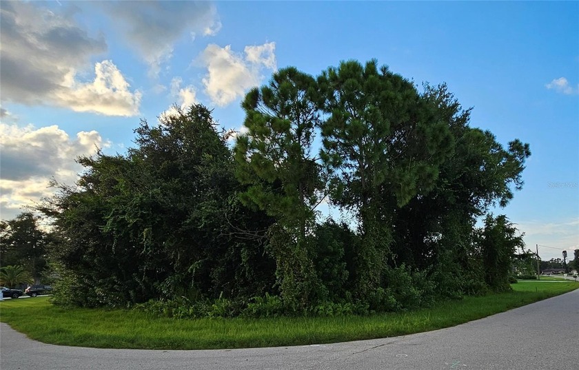 This oversized corner lot is located in the sought after - Beach Lot for sale in Punta Gorda, Florida on Beachhouse.com