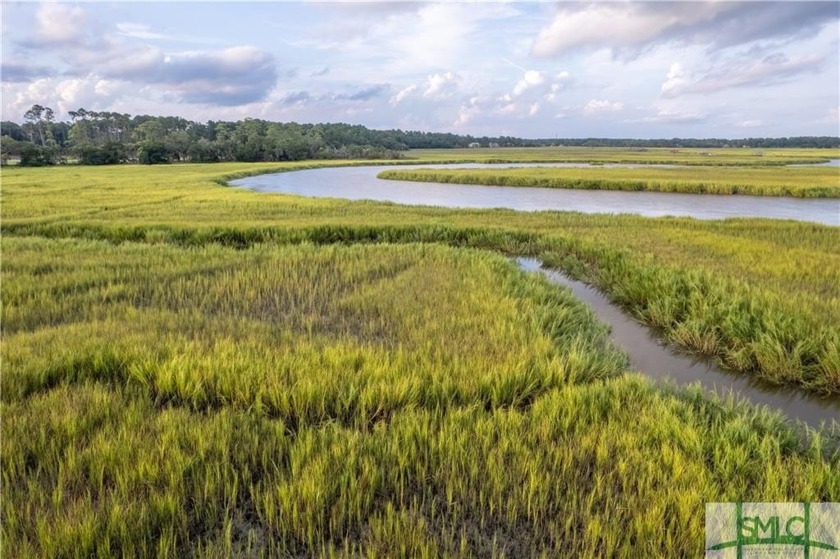 Welcome to Grand Harbor, Savannah's premier boutique deepwater - Beach Lot for sale in Savannah, Georgia on Beachhouse.com