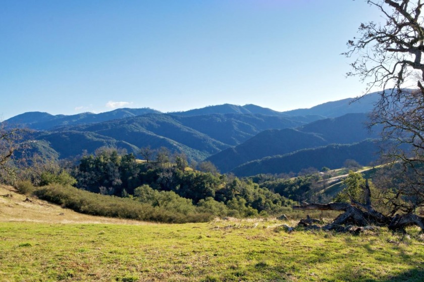 Welcome to 24 Long Ridge Trail. This beautiful home site boasts - Beach Acreage for sale in Carmel Valley, California on Beachhouse.com