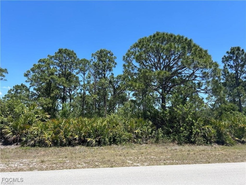 Build your dream home in gorgeous Southwest Florida, where the - Beach Lot for sale in Lehigh Acres, Florida on Beachhouse.com