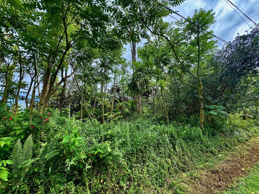 Own a piece of history! Side-by-side lots partially covered with - Beach Lot for sale in Pahoa, Hawaii on Beachhouse.com