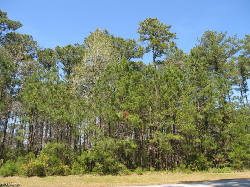 JUST REDUCED! Large interior lot in a great established - Beach Lot for sale in Beaufort, North Carolina on Beachhouse.com