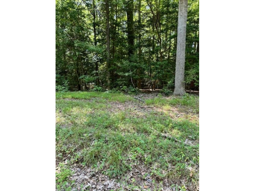 LOT 14, WONDERFUL BUILDING LOT IN COMMUNITY WITH GREAT AMENITIES - Beach Lot for sale in Heathsville, Virginia on Beachhouse.com