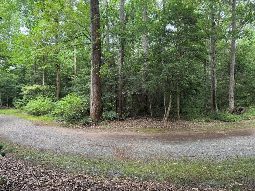 Get ready to bring your dream home plans to build on this - Beach Lot for sale in Lancaster, Virginia on Beachhouse.com