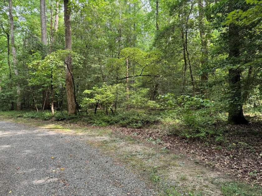 Get ready to bring your dream home plans to build on this - Beach Lot for sale in Lancaster, Virginia on Beachhouse.com