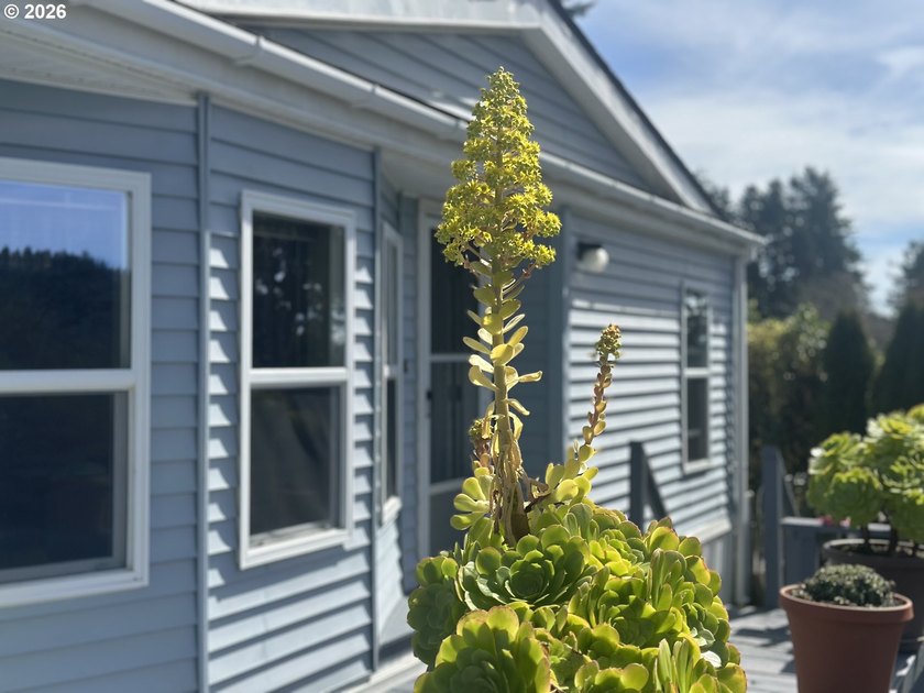 This beautiful doublewide manufactured home in a quiet family - Beach Home for sale in Brookings, Oregon on Beachhouse.com
