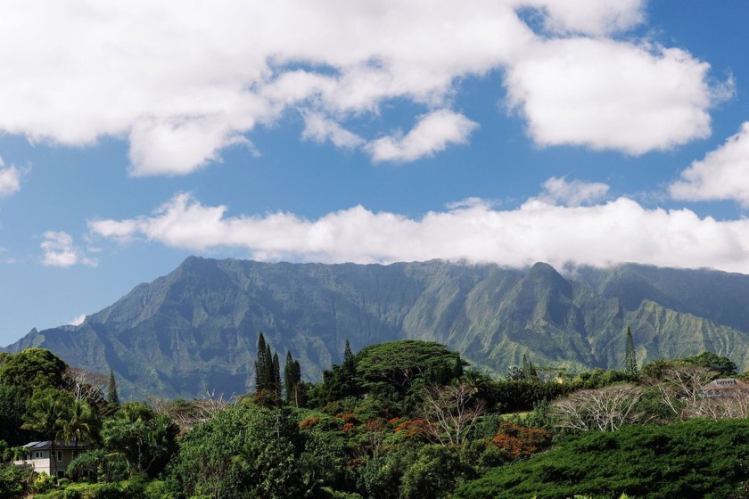 Wailua Oasis - Unit 3 - Waiale'ale View - .47 Acre - Seller will - Beach Lot for sale in Kapaa, Hawaii on Beachhouse.com