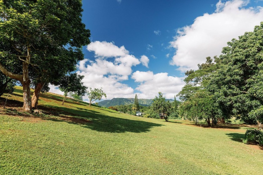 Wailua Oasis - Unit 4 - Oasis Stream - Seller will consider - Beach Lot for sale in Kapaa, Hawaii on Beachhouse.com