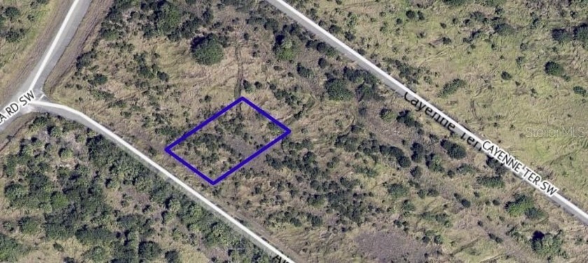Prime Vacant Lot - Ideal for Future Development!

This spacious - Beach Lot for sale in Palm Bay, Florida on Beachhouse.com