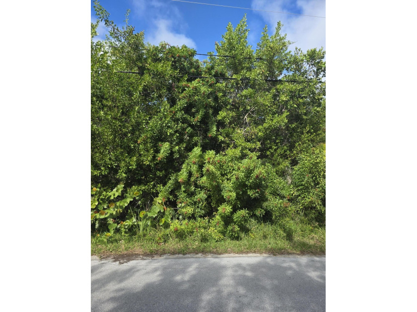 Tier 3 Lot.Discover the potential of this expansive 15,000 sq ft - Beach Lot for sale in Sugarloaf Key, Florida on Beachhouse.com