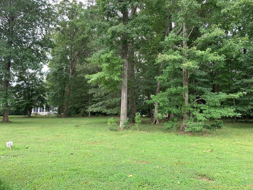 Beautiful building lot in Hills Quarter with long view of the - Beach Lot for sale in Irvington, Virginia on Beachhouse.com