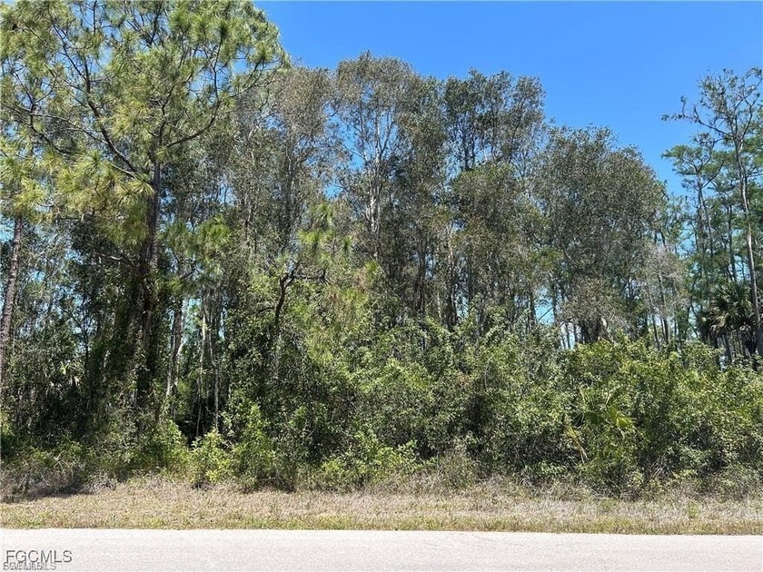 Build Your Dream Home! Discover the perfect opportunity to build - Beach Lot for sale in Lehigh Acres, Florida on Beachhouse.com