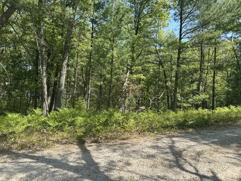 Wooded residential lot with no association! Between Bass Lake - Beach Lot for sale in Pentwater, Michigan on Beachhouse.com