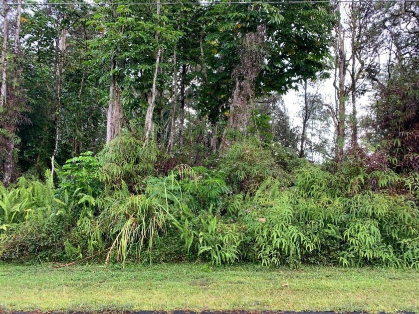 Dream Lot on S. Lai Street! Where your future paradise awaits - Beach Lot for sale in Pahoa, Hawaii on Beachhouse.com